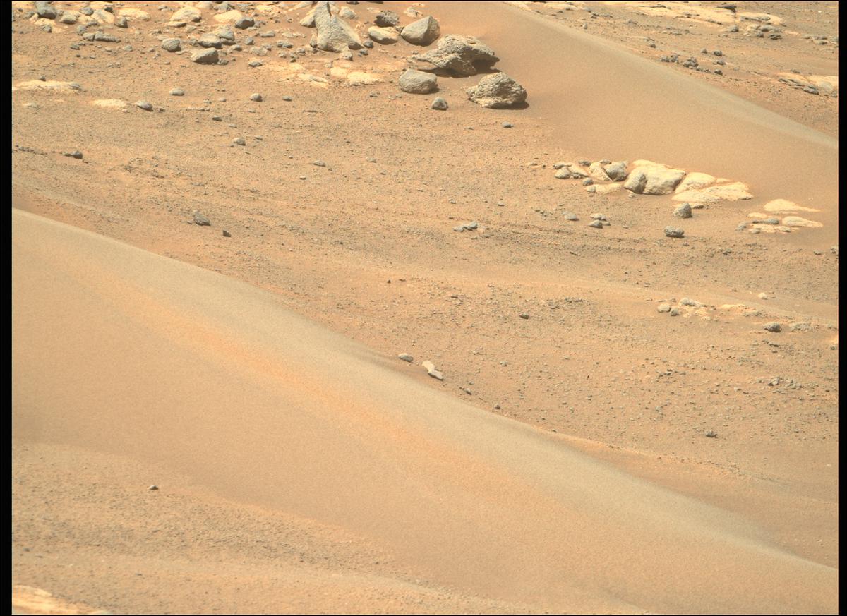 This image was taken by MCZ_RIGHT onboard NASA's Mars rover Perseverance on Sol 241