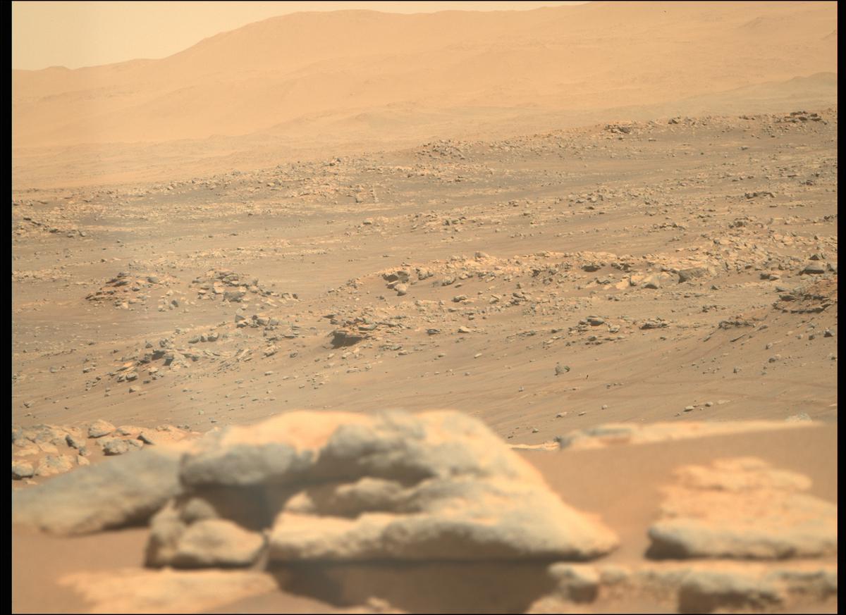 This image was taken by MCZ_RIGHT onboard NASA's Mars rover Perseverance on Sol 241