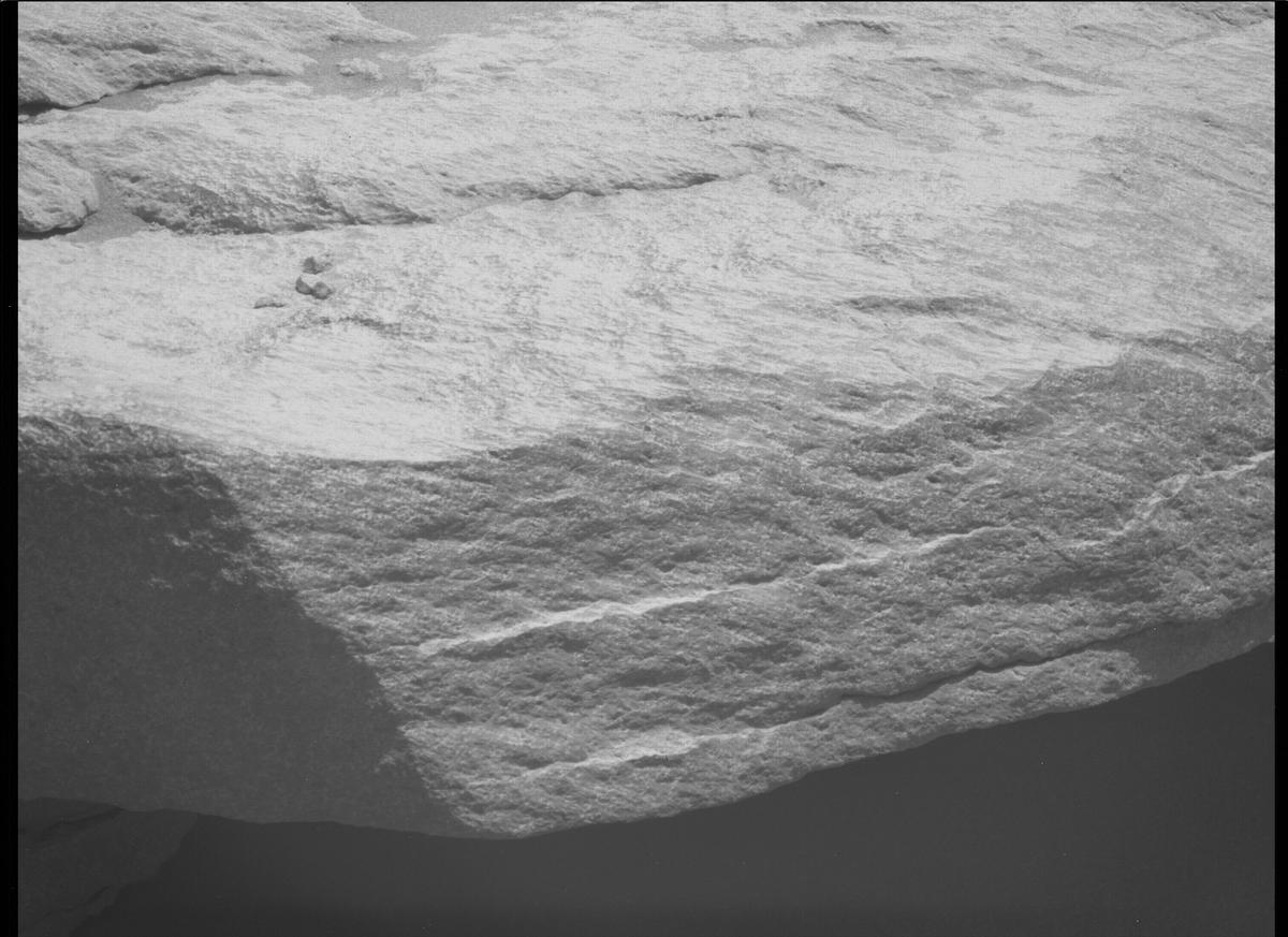 This image was taken by MCZ_LEFT onboard NASA's Mars rover Perseverance on Sol 242