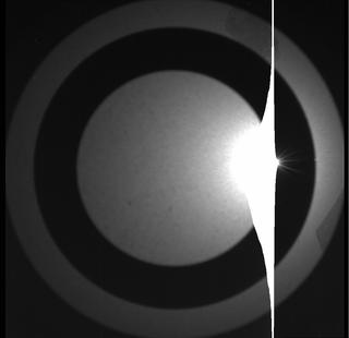View image taken on Mars, Mars Perseverance Sol 246: SkyCam Camera 