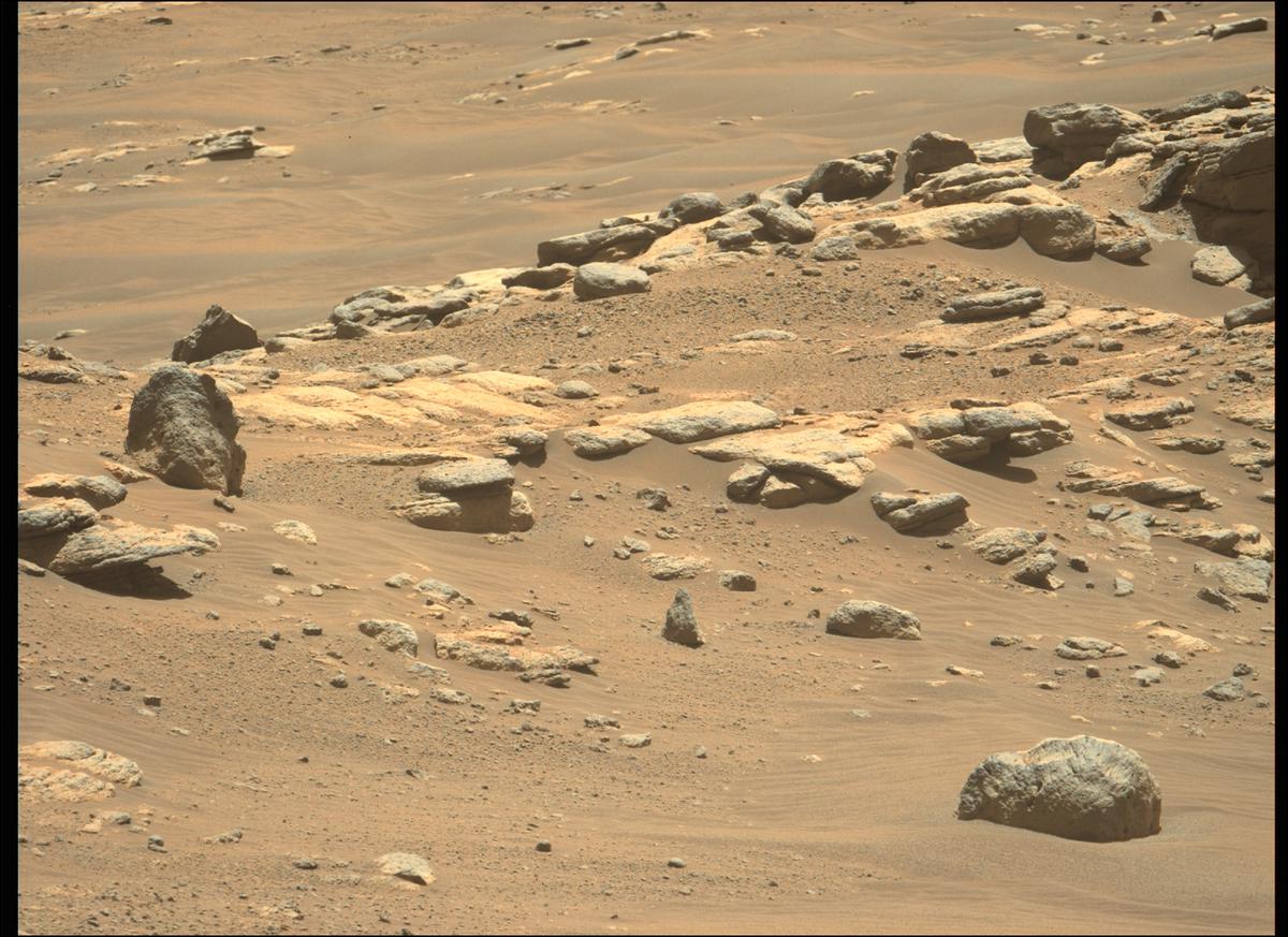 This image was taken by MCZ_LEFT onboard NASA's Mars rover Perseverance on Sol 246