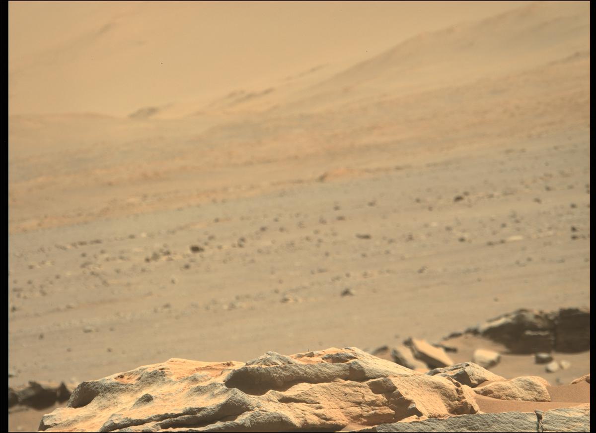 This image was taken by MCZ_LEFT onboard NASA's Mars rover Perseverance on Sol 246