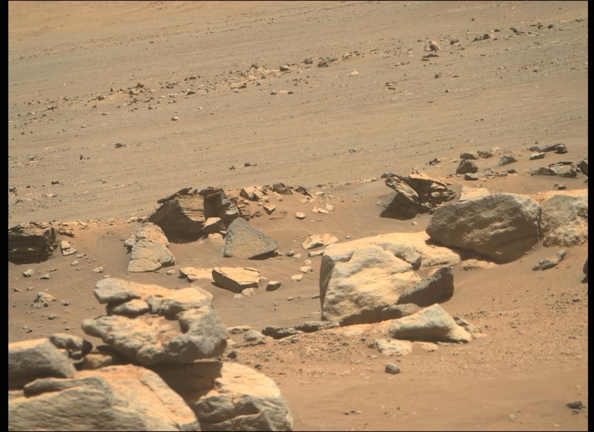 This image was taken by MCZ_RIGHT onboard NASA's Mars rover Perseverance on Sol 246