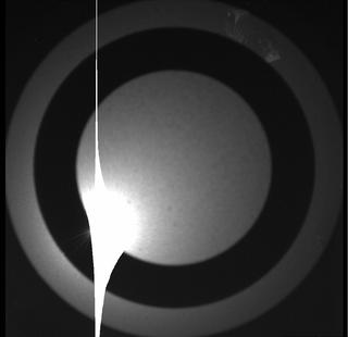 View image taken on Mars, Mars Perseverance Sol 249: SkyCam Camera 