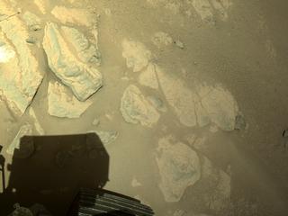 View image taken on Mars, Mars Perseverance Sol 253: Right Navigation Camera (Navcam)
