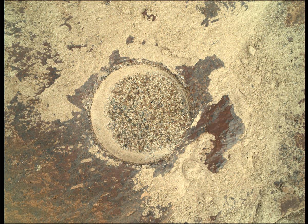 This image was taken by SHERLOC_WATSON onboard NASA's Mars rover Perseverance on Sol 253
