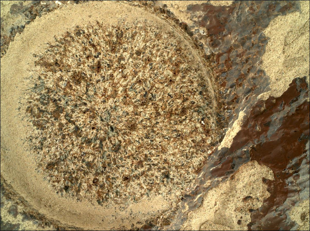 This image was taken by SHERLOC_WATSON onboard NASA's Mars rover Perseverance on Sol 253