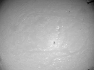 View image taken on Mars, Mars Helicopter Sol 254: Navigation Camera