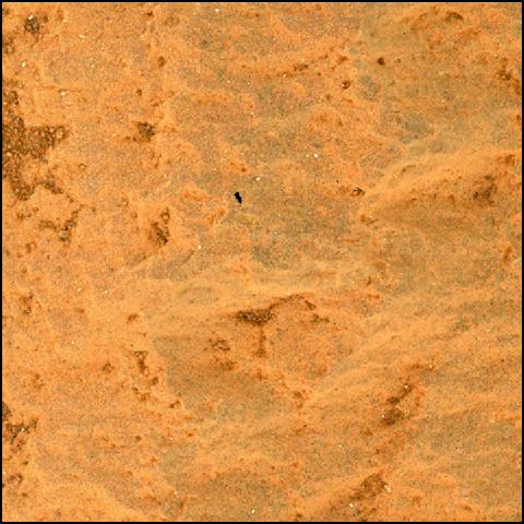 This image was taken by SHERLOC_WATSON onboard NASA's Mars rover Perseverance on Sol 255
