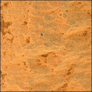 View image taken on Mars, Mars Perseverance Sol 255: WATSON Camera 