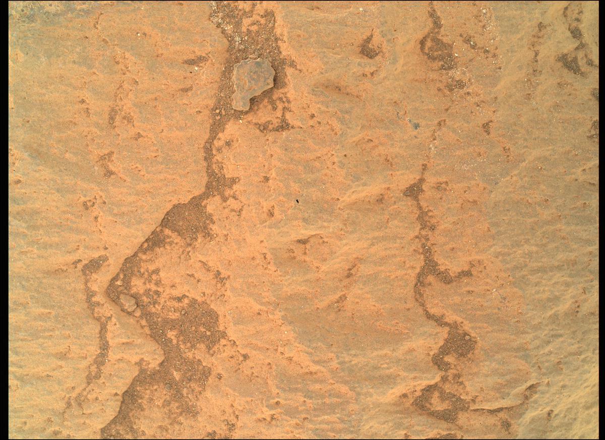 This image was taken by SHERLOC_WATSON onboard NASA's Mars rover Perseverance on Sol 255