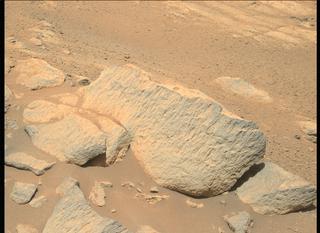 View image taken on Mars, Mars Perseverance Sol 255: Right Mastcam-Z Camera