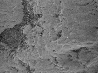 View image taken on Mars, Mars Perseverance Sol 257: WATSON Camera 