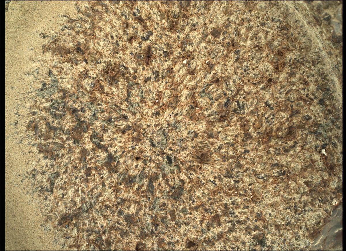 This image was taken by SHERLOC_WATSON onboard NASA's Mars rover Perseverance on Sol 257