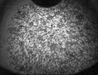 View image taken on Mars, Mars Perseverance Sol 258: PIXL Camera 