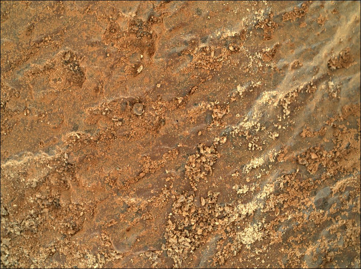 This image was taken by SHERLOC_WATSON onboard NASA's Mars rover Perseverance on Sol 258