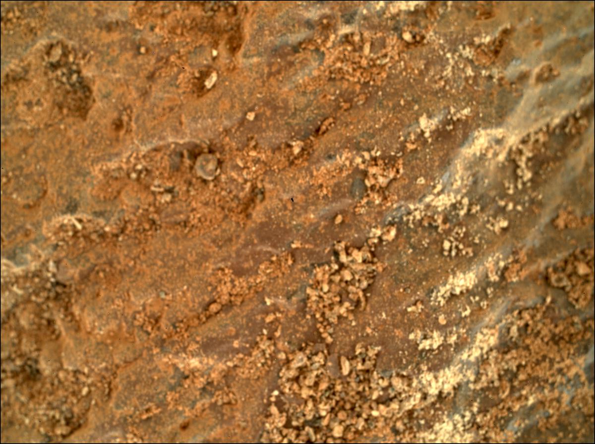 This image was taken by SHERLOC_WATSON onboard NASA's Mars rover Perseverance on Sol 258