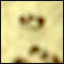 View image taken on Mars, Mars Perseverance Sol 259: Left Mastcam-Z Camera
