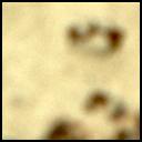 View image taken on Mars, Mars Perseverance Sol 259: Right Mastcam-Z Camera