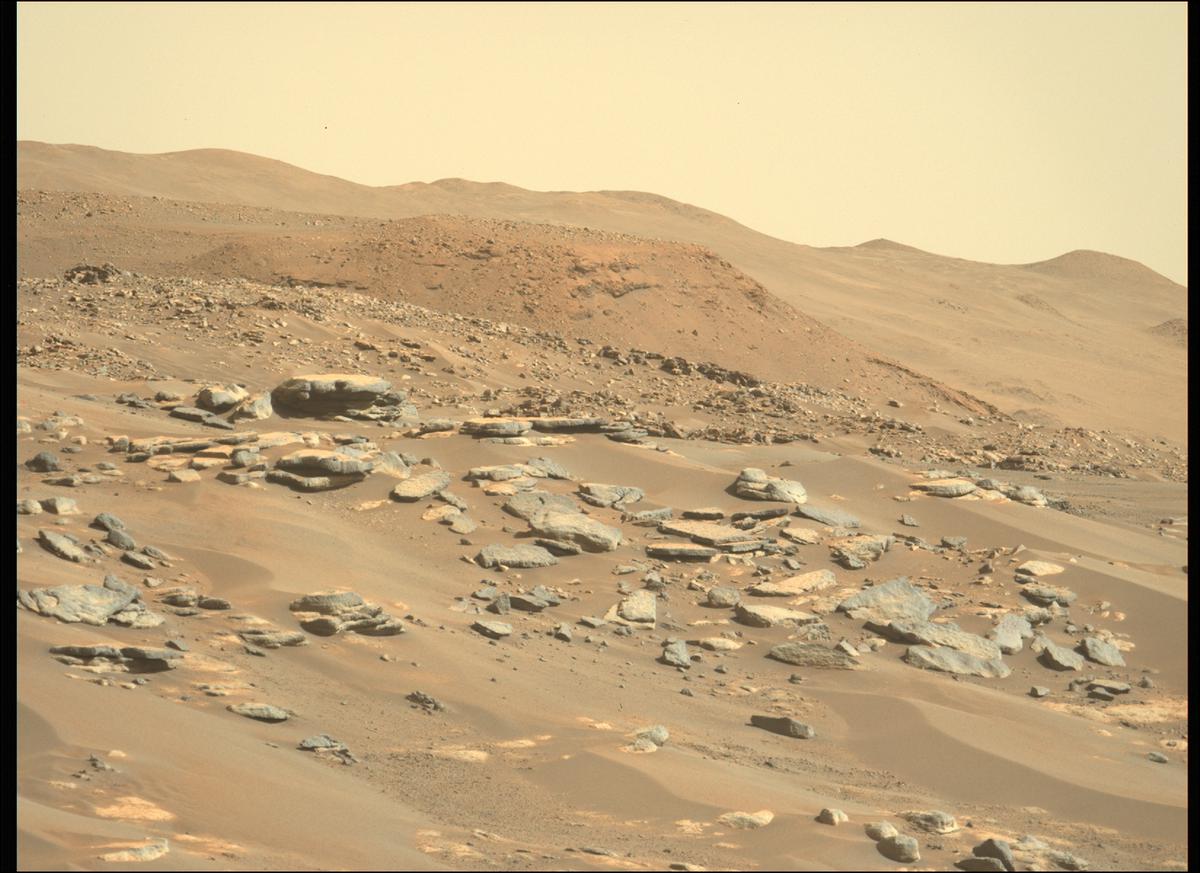This image was taken by MCZ_LEFT onboard NASA's Mars rover Perseverance on Sol 265