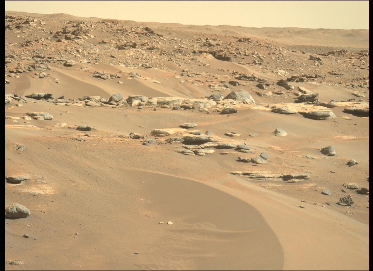 This image was taken by MCZ_LEFT onboard NASA's Mars rover Perseverance on Sol 265