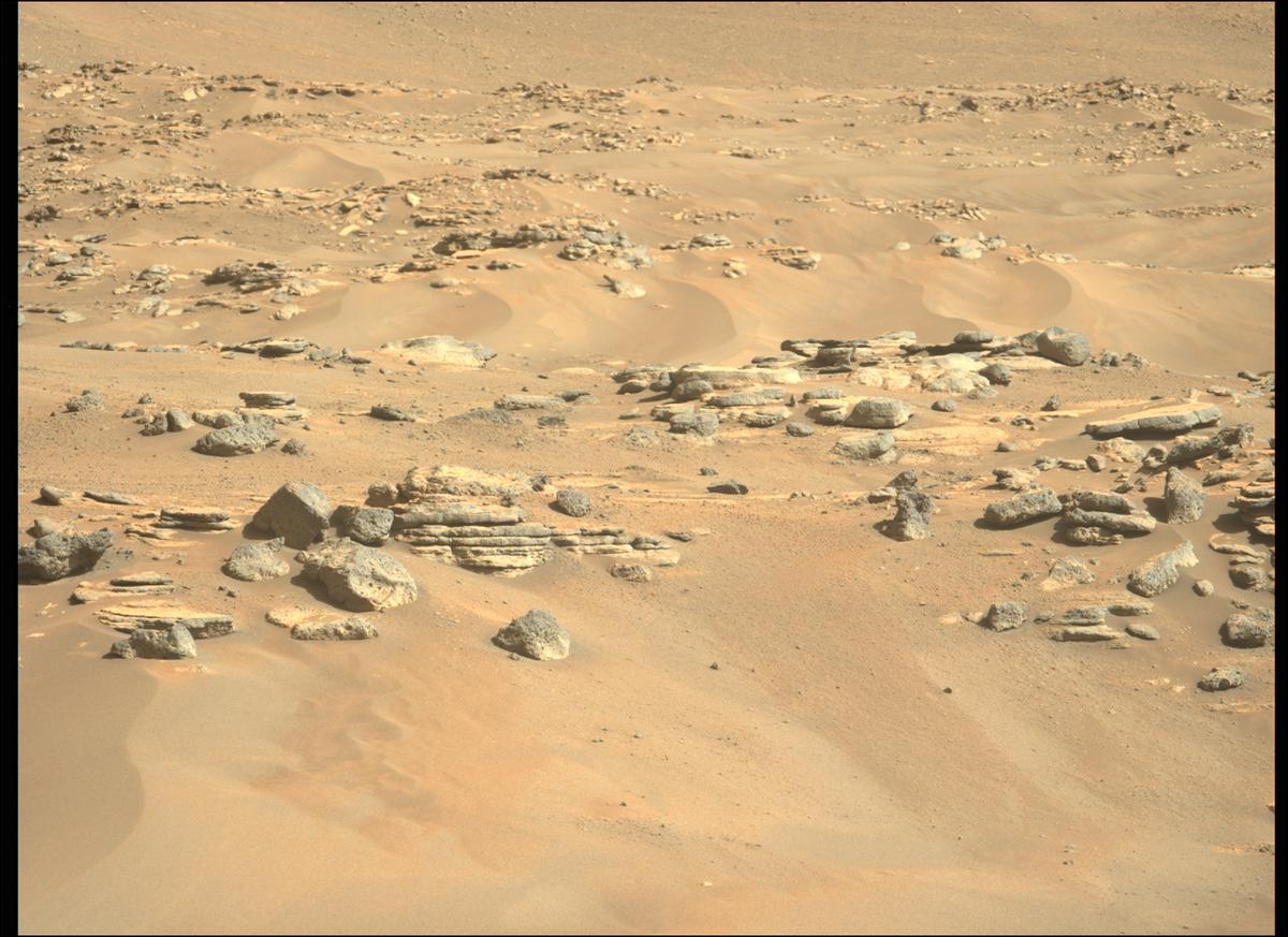 This image was taken by MCZ_LEFT onboard NASA's Mars rover Perseverance on Sol 265
