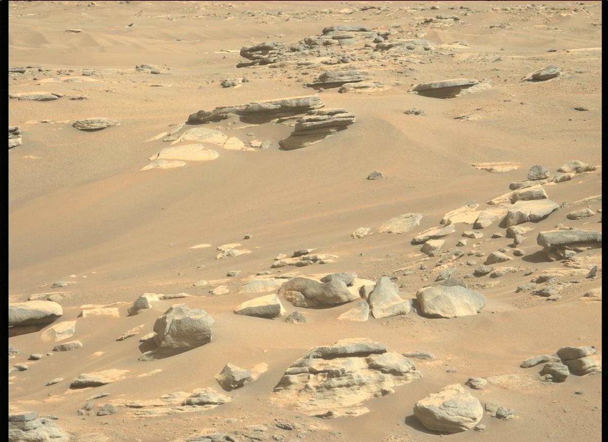 This image was taken by MCZ_LEFT onboard NASA's Mars rover Perseverance on Sol 265