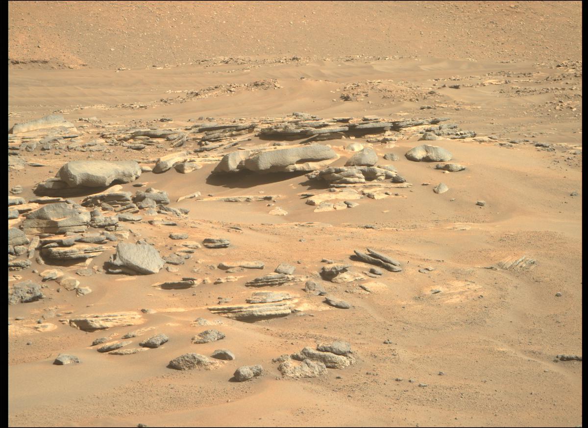 This image was taken by MCZ_RIGHT onboard NASA's Mars rover Perseverance on Sol 265