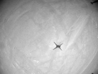 View image taken on Mars, Mars Helicopter Sol 268: Navigation Camera