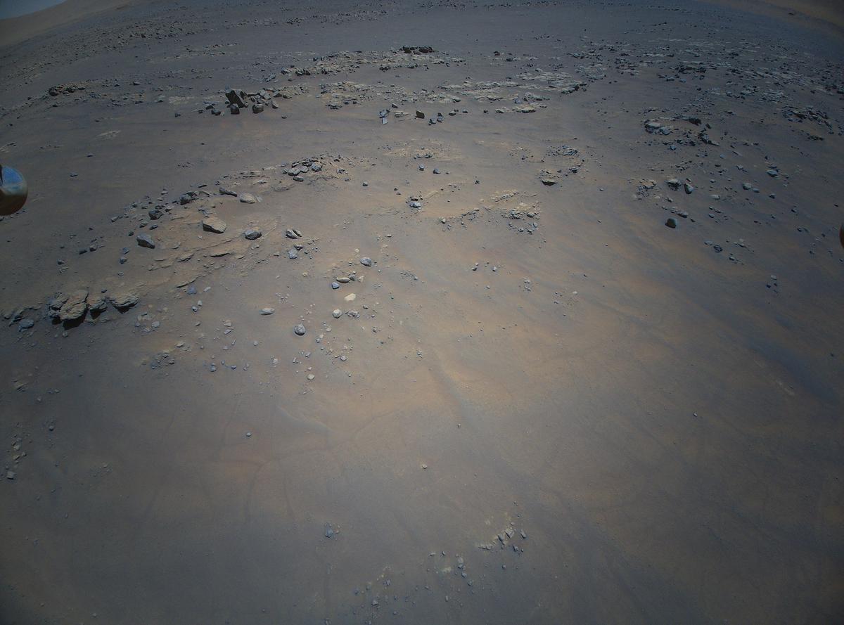 This image was taken by HELI_RTE onboard NASA's Mars rover Perseverance on Sol 268