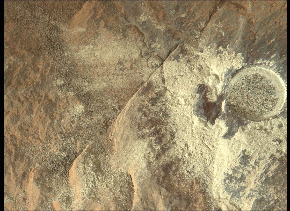 This image was taken by MCZ_LEFT onboard NASA's Mars rover Perseverance on Sol 268