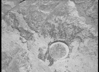 View image taken on Mars, Mars Perseverance Sol 268: Left Mastcam-Z Camera