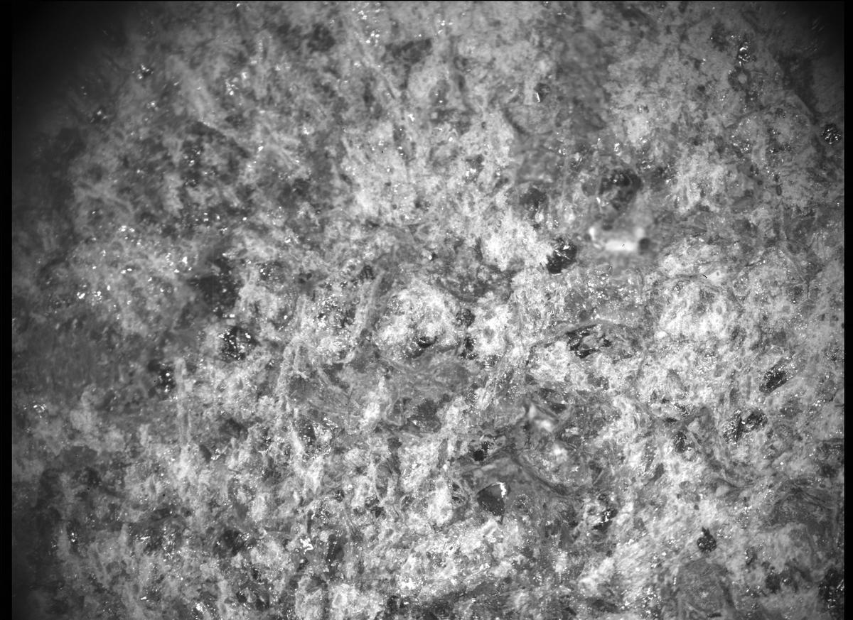 This image was taken by SHERLOC_ACI onboard NASA's Mars rover Perseverance on Sol 269