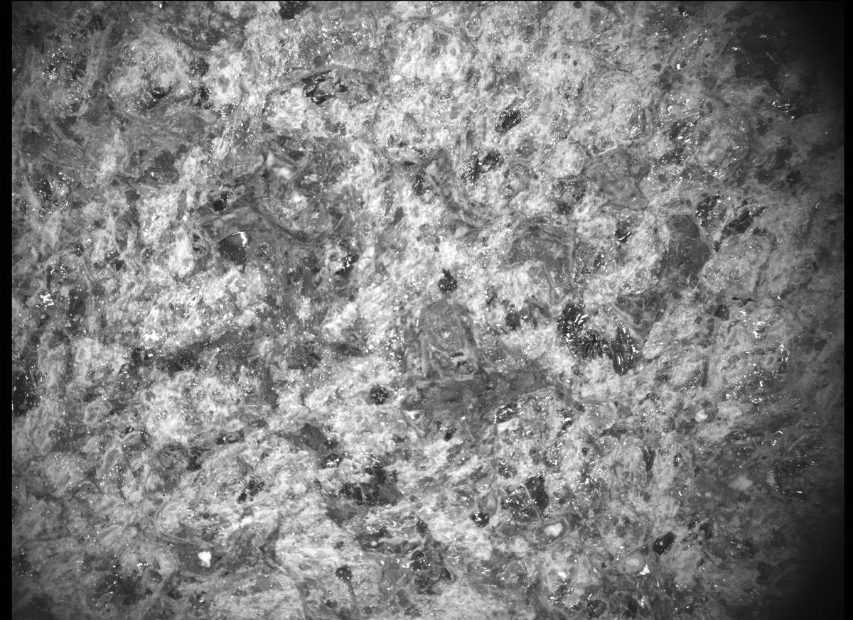 This image was taken by SHERLOC_ACI onboard NASA's Mars rover Perseverance on Sol 269