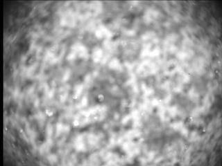 View image taken on Mars, Mars Perseverance Sol 269: SHERLOC ACI Camera 