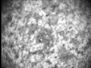 View image taken on Mars, Mars Perseverance Sol 269: SHERLOC ACI Camera 