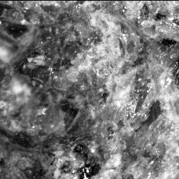 This image was taken by SHERLOC_ACI onboard NASA's Mars rover Perseverance on Sol 269