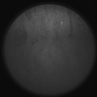 View image taken on Mars, Mars Perseverance Sol 279: SuperCam Camera