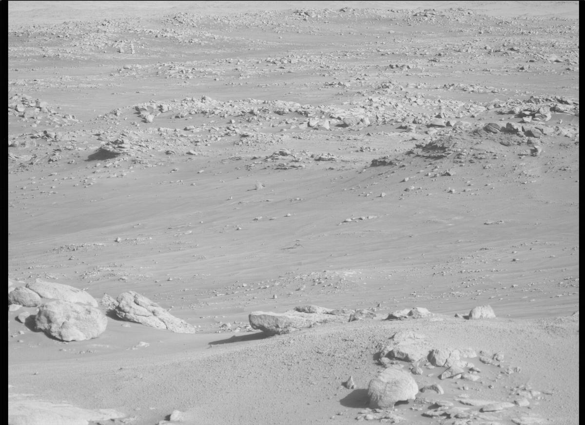 This image was taken by MCZ_LEFT onboard NASA's Mars rover Perseverance on Sol 279