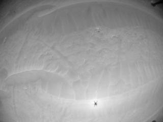 View image taken on Mars, Mars Helicopter Sol 282: Navigation Camera