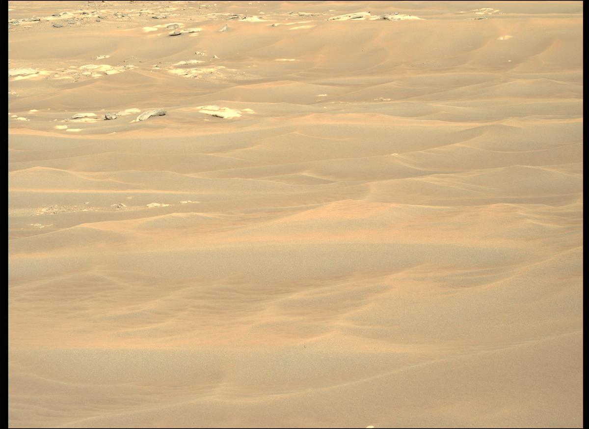 This image was taken by MCZ_LEFT onboard NASA's Mars rover Perseverance on Sol 282