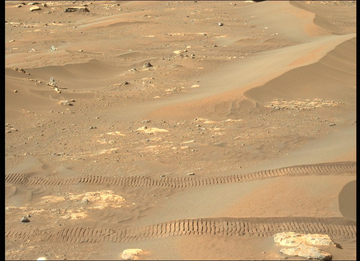 This image was taken by MCZ_LEFT onboard NASA's Mars rover Perseverance on Sol 282