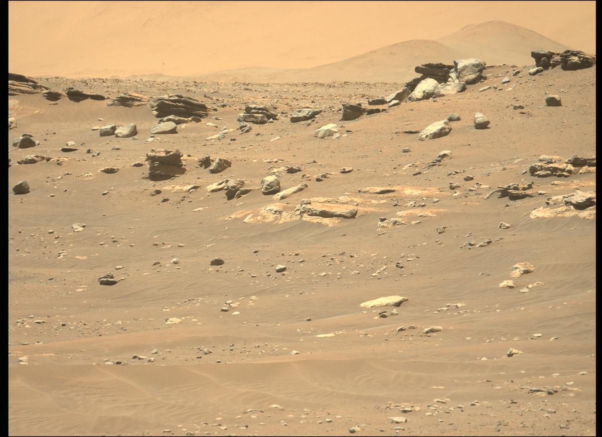 This image was taken by MCZ_LEFT onboard NASA's Mars rover Perseverance on Sol 282