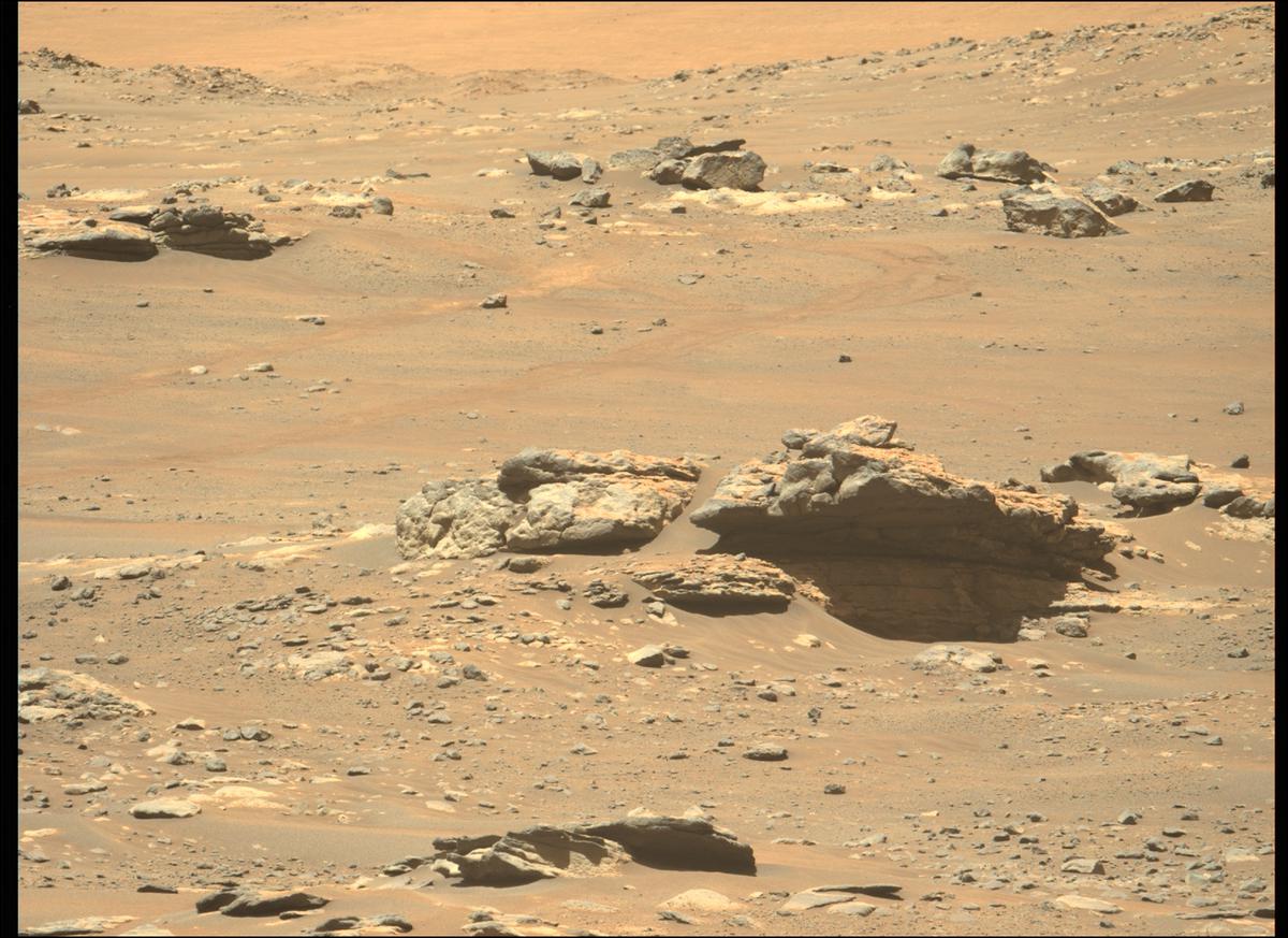 This image was taken by MCZ_LEFT onboard NASA's Mars rover Perseverance on Sol 282