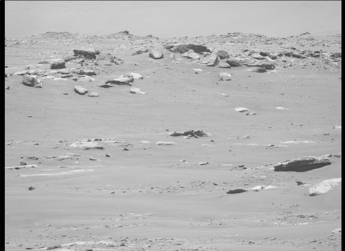 This image was taken by MCZ_LEFT onboard NASA's Mars rover Perseverance on Sol 282