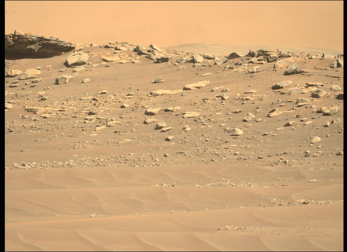 This image was taken by MCZ_LEFT onboard NASA's Mars rover Perseverance on Sol 282