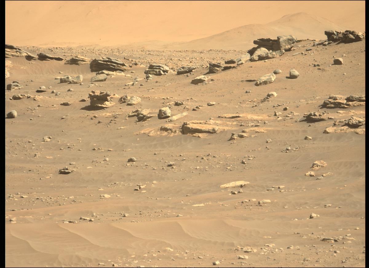 This image was taken by MCZ_LEFT onboard NASA's Mars rover Perseverance on Sol 282