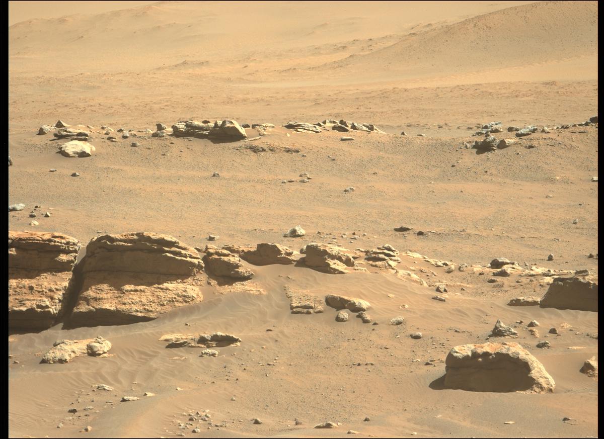 This image was taken by MCZ_LEFT onboard NASA's Mars rover Perseverance on Sol 282