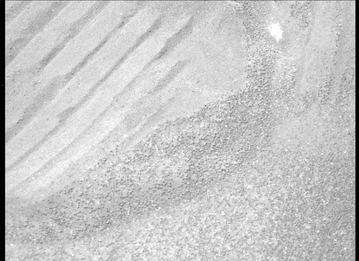 This image was taken by MCZ_LEFT onboard NASA's Mars rover Perseverance on Sol 282