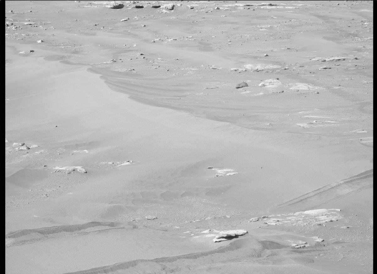 This image was taken by MCZ_RIGHT onboard NASA's Mars rover Perseverance on Sol 282